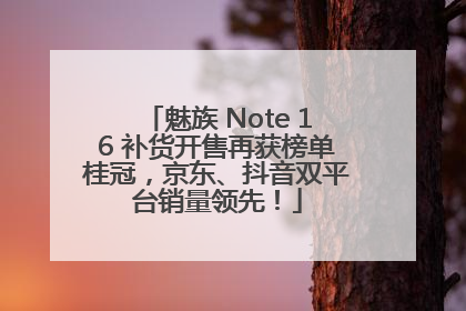 魅族 Note 16 补货开售再获榜单桂冠，京东、抖音双平台销量领先！