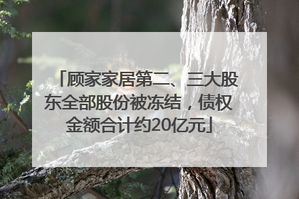 顾家家居第二、三大股东全部股份被冻结，债权金额合计约20亿元
