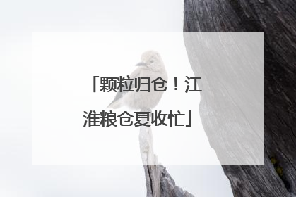 颗粒归仓！江淮粮仓夏收忙