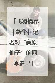 飞羽镜界｜新华社记者对“高原仙子”的四季追寻