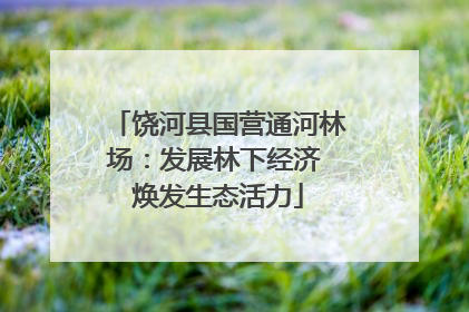 饶河县国营通河林场：发展林下经济 焕发生态活力