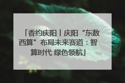 香约庆阳丨庆阳“东数西算”布局未来赛道：智算时代 绿色领航
