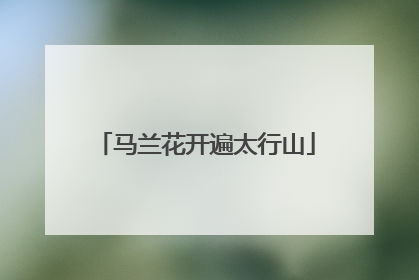 马兰花开遍太行山