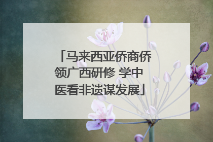 马来西亚侨商侨领广西研修 学中医看非遗谋发展