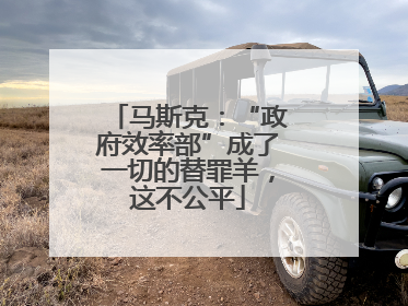 马斯克：“政府效率部”成了一切的替罪羊，这不公平