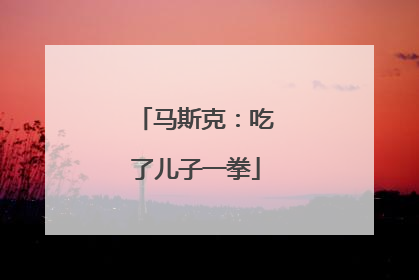 马斯克：吃了儿子一拳