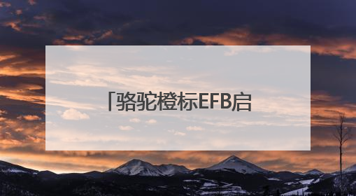 骆驼橙标EFB启停电池：引领高性价比启停电池新选择