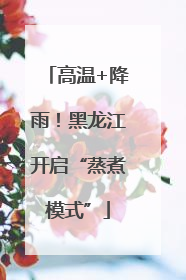 高温+降雨！黑龙江开启“蒸煮模式”