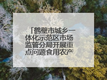 鹤壁市城乡一体化示范区市场监管分局开展重点问题食用农产品专项整治