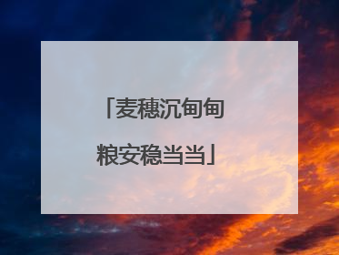 麦穗沉甸甸 粮安稳当当