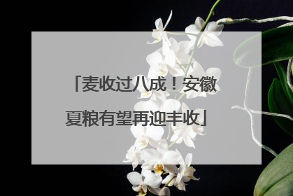 麦收过八成！安徽夏粮有望再迎丰收
