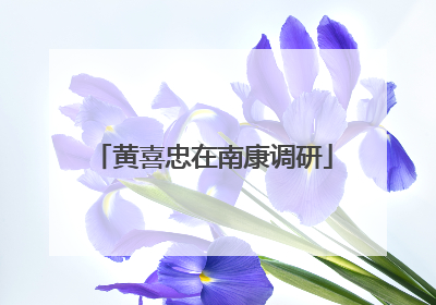 黄喜忠在南康调研