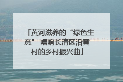 黄河滋养的“绿色生意” 唱响长清区沿黄村的乡村振兴曲