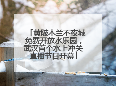 黄陂木兰不夜城免费开放水乐园，武汉首个水上冲关直播节目开幕