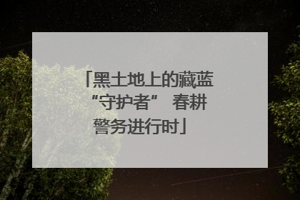 黑土地上的藏蓝“守护者” 春耕警务进行时
