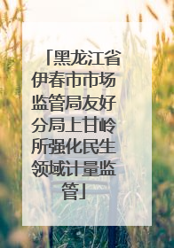 黑龙江省伊春市市场监管局友好分局上甘岭所强化民生领域计量监管