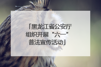 黑龙江省公安厅组织开展“六一”普法宣传活动