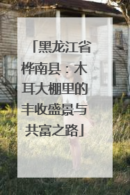 黑龙江省桦南县：木耳大棚里的丰收盛景与共富之路