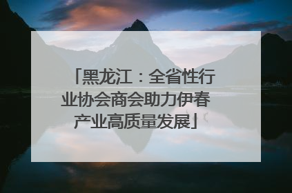 黑龙江：全省性行业协会商会助力伊春产业高质量发展