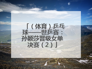（体育）乒乓球——世乒赛：孙颖莎晋级女单决赛（2）
