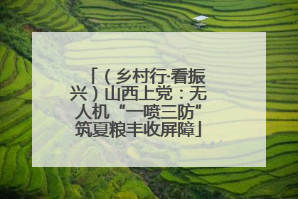 （乡村行·看振兴）山西上党：无人机“一喷三防”筑夏粮丰收屏障