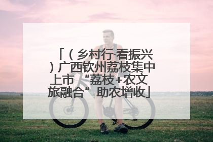 （乡村行·看振兴）广西钦州荔枝集中上市 “荔枝+农文旅融合”助农增收