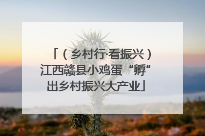 （乡村行·看振兴）江西赣县小鸡蛋“孵”出乡村振兴大产业