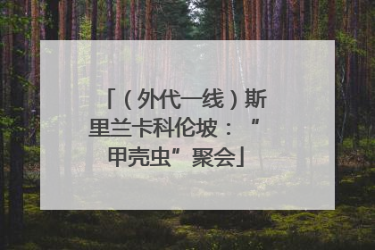 （外代一线）斯里兰卡科伦坡：“甲壳虫”聚会