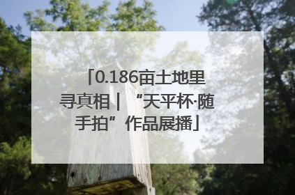 0.186亩土地里寻真相｜“天平杯·随手拍”作品展播