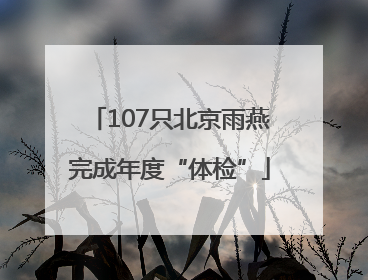 107只北京雨燕完成年度“体检”