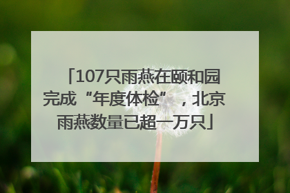 107只雨燕在颐和园完成“年度体检”，北京雨燕数量已超一万只