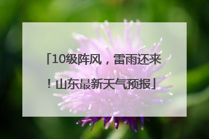 10级阵风，雷雨还来！山东最新天气预报