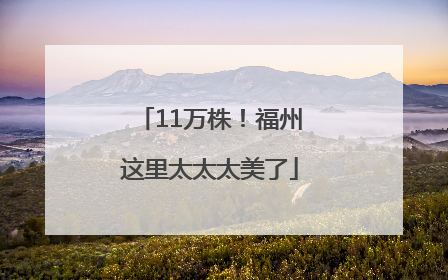 11万株！福州这里太太太美了