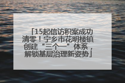 15起信访积案成功清零！宁乡市花明楼镇创建“三个一”体系，解锁基层治理新姿势