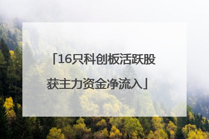 16只科创板活跃股获主力资金净流入