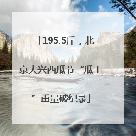 195.5斤，北京大兴西瓜节“瓜王”重量破纪录