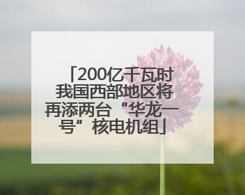 200亿千瓦时 我国西部地区将再添两台“华龙一号”核电机组