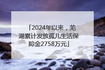 2024年以来，芜湖累计发放孤儿生活保障金2758万元