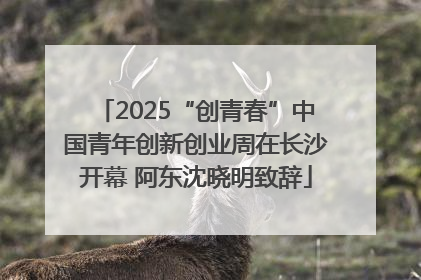 2025“创青春”中国青年创新创业周在长沙开幕 阿东沈晓明致辞