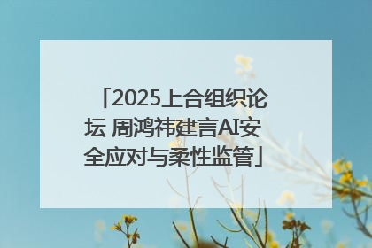 2025上合组织论坛 周鸿祎建言AI安全应对与柔性监管