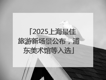 2025上海最佳旅游新场景公布，浦东美术馆等入选