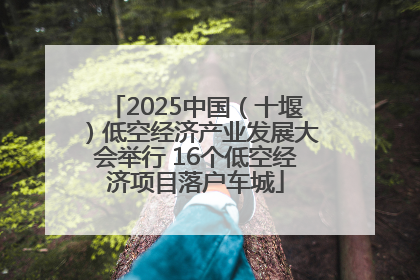 2025中国（十堰）低空经济产业发展大会举行 16个低空经济项目落户车城