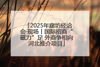 2025年廊坊经洽会·现场丨国际招商“磁力”足 外商争相向河北推介项目