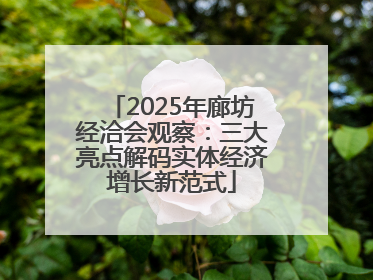 2025年廊坊经洽会观察：三大亮点解码实体经济增长新范式