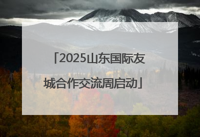 2025山东国际友城合作交流周启动
