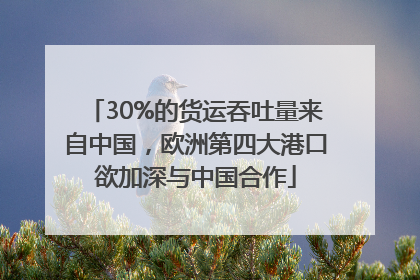 30%的货运吞吐量来自中国，欧洲第四大港口欲加深与中国合作