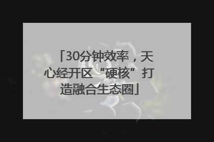 30分钟效率，天心经开区“硬核”打造融合生态圈
