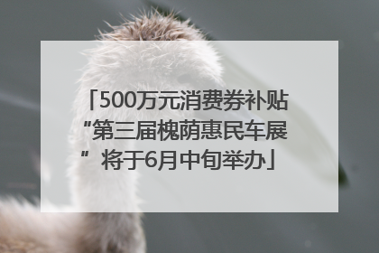 500万元消费券补贴 “第三届槐荫惠民车展”将于6月中旬举办