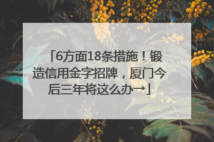 6方面18条措施！锻造信用金字招牌，厦门今后三年将这么办→