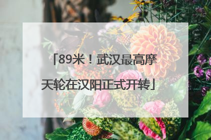 89米！武汉最高摩天轮在汉阳正式开转